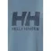 Helly hansen Logo 3.0 반팔 티셔츠
