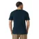 Helly hansen Massif Graphic 반팔 티셔츠