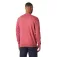 Helly hansen Jersei Quayside