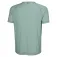 Helly hansen Trail 半袖Tシャツ