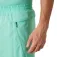 Helly hansen Pantalons curts Trail 6´´