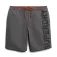 Superdry Classic 19´´ Logo simshorts