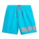 Superdry Graphic 17´´ badebukse