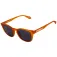Superdry Round Frame solbriller