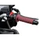 Daytona 88666 griffe