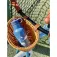Play and store Korb+Glocke