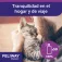 Feliway Spray Classic 60ml