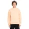 Volcom Single Stone TW sweatshirt