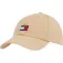 Tommy Jeans Heritage cap