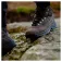 Timberland Botes de senderisme White Ledge Mid WP