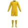 Joma Performance long sleeve set