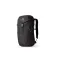 Gregory Backpack