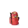 Gregory Kiro 24 RC backpack