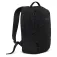 Regatta Voyad 20L backpack