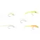 Vertigone Mouche Gambe Perches Mix