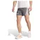 adidas Terrex Techrock Allover Print shorts