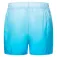 Oakley Gradient 16´´ simshorts