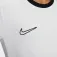 Nike Dri-Fit Academy 25 short sleeve T-shirt