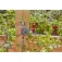 Gardena Programador de reg Easy