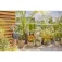 Gardena Easy Bewässerungsprogrammierer