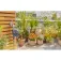 Gardena Programador de reg EasyPlus
