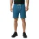 Protest Graig shorts
