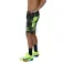 Zoot Calções Ltd Run 7´´