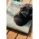 Orca Casquette Canvas