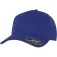 Flexfit Delta cap