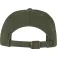 Flexfit Low Profile Cotton Twill cap
