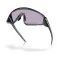 Oakley Latch panel zonnebril