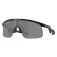 Oakley Resistor solbriller