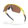 Oakley Resistor aurinkolasit