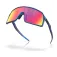 Oakley Sutro solbriller