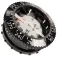 Mares Kompasmodule voor het zuidelijk halfrond