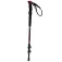 Trespass Bastons Sesto