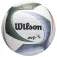 Wilson AVP PXL rantapallo