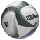 Wilson AVP PXL rantapallo