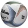 Wilson AVP PXL rantapallo