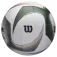 Wilson AVP PXL rantapallo