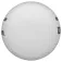 Wilson AVP Soft Play rantapallo