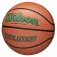 Wilson Evolution 295 Game 篮球