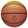 Wilson Evolution 295 Game basketball