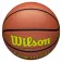 Wilson Evolution 295 Game basketball