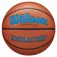 Wilson Evolution 295 Game Basketballball