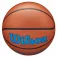 Wilson Pallone da basket Evolution 295 Game