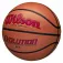 Wilson Evolution 295 Game Basketballball