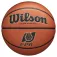 Wilson Evolution FPB 농구공