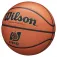Wilson Evolution FPB Basketballball