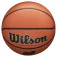 Wilson Evolution FPB basketball ball